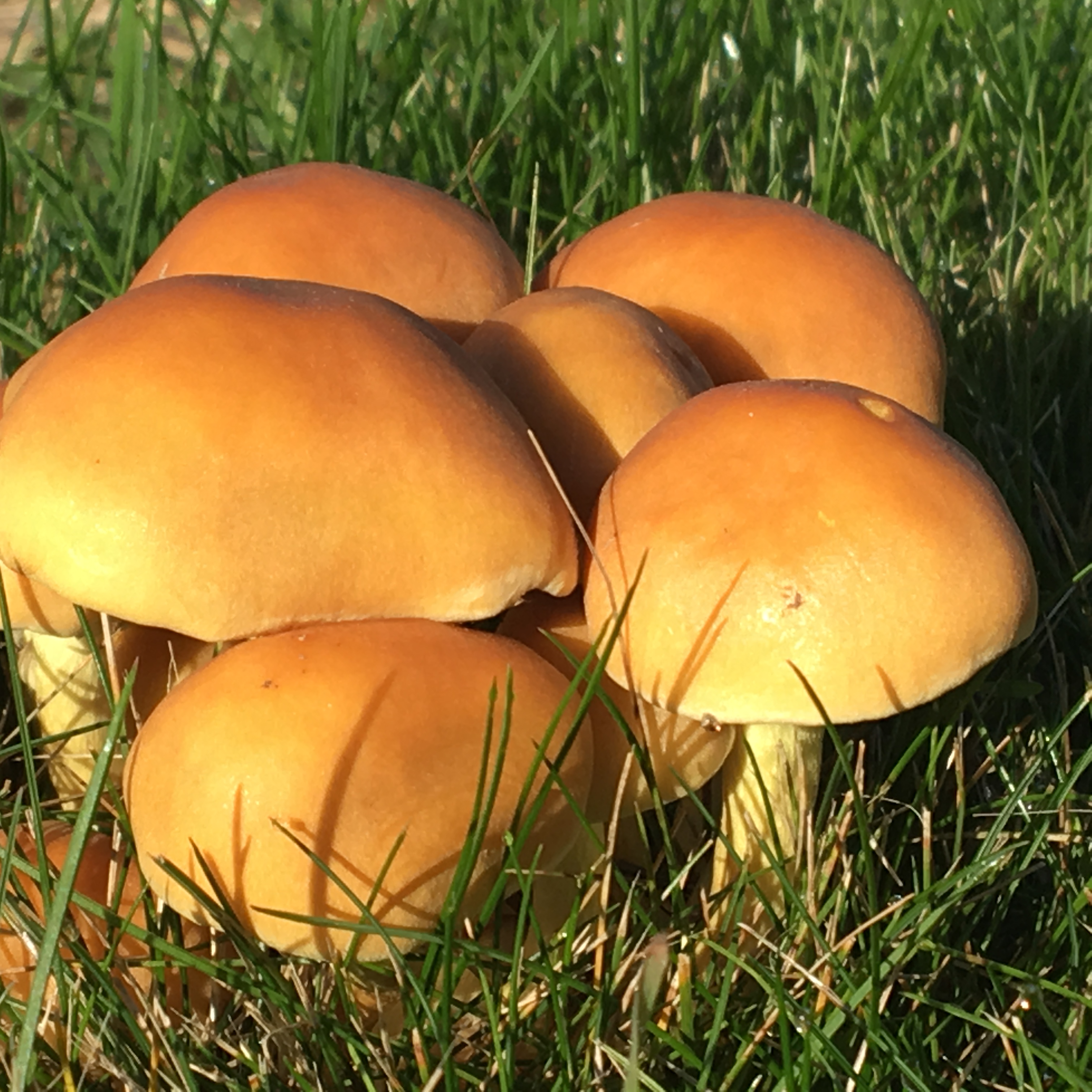 The beauty of Scotland